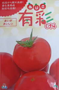 g}gq@L014@@c̑ʃg}gi