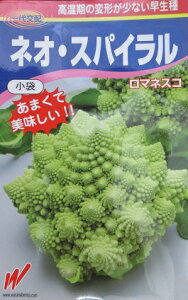 lIEXpC@}lXR@@@nӔ_̃Jt[ił