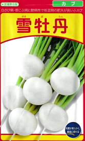 武蔵野交配　雪牡丹カブ　武蔵野種苗園のカブ品種です。