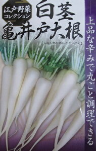 sTˑ卪@֓̓`ؕȋ卪
