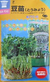 スプラウト種子　豆苗　中国野菜　エンドウ豆のスプラウト種