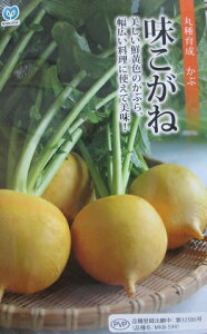 ˁ@ԁ@o^i@ێ̃JuiłB