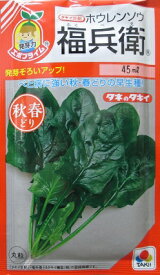 福兵衛ホウレンソウ　　　タキイ種苗のほうれん草品種です。
