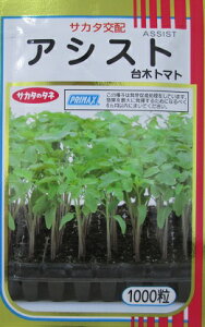 TJ^z@؃AVXg@@TJ^̃^l̃g}gؕi