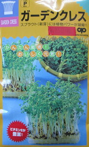 K[fNXiӞj@@̎̃XvEgpqłB