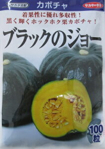 TJ^z@ubÑW[@TJ^̃^l̑ʃJ{`iłB