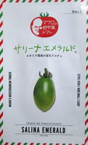 T[iGh@pCIjAGRTCGX̃~jg}gi@i100j