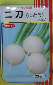 サカタ交配 二刀小カブ サカタのタネの蕪品種です。20ml規格