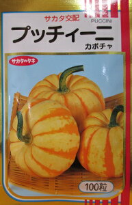 ミニカボチャ種 サカタ交配 プッチィーニ サカタのタネのミニカボチャ品種です。 100粒入り規格