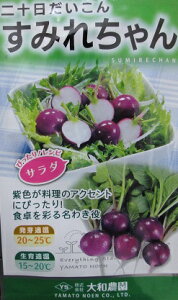 \@݂ꂿ@@Бa_̓\卪i