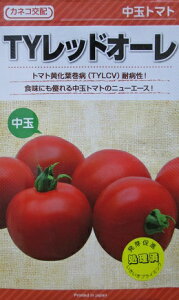 JlRz@TYbhI[@JlRc̒ʃg}gi@1000