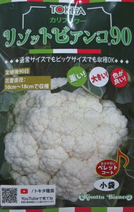 ]bgrAR90@R[gq@gL^c̃Jt[i