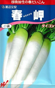 nӌz@t卪@nӔ_̏t卪i