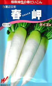 nӌz@t卪@nӔ_̏t卪i@i1000j