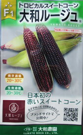 F1大和ルージュ　大和農園のトロピカルスイートコーン品種　（1dl入り）