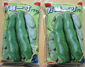 \}@TJ^̃^l@ŉzꐡ@1L×2܃Zbg