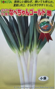 _Cz@ȂׂS[hK@gL^c̃lMi