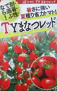 z@~jg}g@TY܂Ȃbh@t^oc