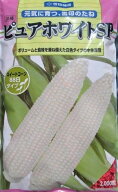 ピュアホワイトSP　雪印種苗（株）のホワイトトウモロコシ　2000粒