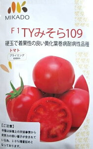 F1@TY݂109@B݂ǂ̑ʃg}gii1000j