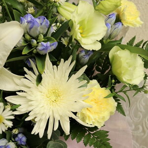 y݁EzԂƃO[ɑzAWg tw@ (ꕔ)@yiƂ̓sz