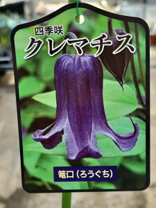 ylG炫N}`XzCeOtHAn U @EO` 10.5cmO|bg