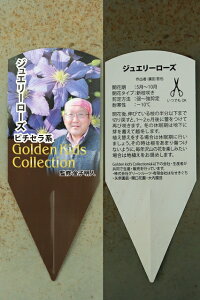 yS[fLbYRNVzN}`X11i 12cm|bg S҂łĂ₷iZNg1ڂ̎ʐ^̓C[Wł