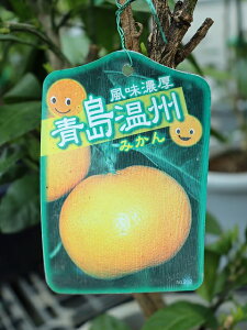 ݂ B 8 É\鉷B݂̔Ӑi큦ɂĂ͍}ȂĔĂ܂BJɂCBݎ͂Ă܂Bs