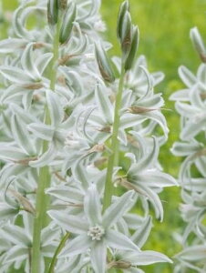 y9{ׁzHA I[j\K k^X 5 ʐ^̓C[Wł