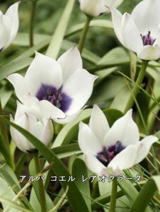 y9{ׁzHA ~j`[bv eʂ͕iɂقȂ܂ʐ^̓C[Wł