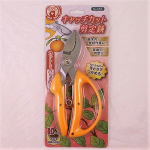 Lb`Jbg@Ƃ߂@JbgăLb`@ʎɃIXX@TrɋoT~