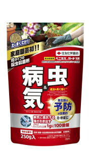 EEۍ xjJXK[h 250g@E͍zAt̋X܂ōs킽AQ̔QAŜ܂BiB.tہj̍pɂA̒R͂߁A