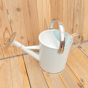 ^W[ 5bgizCgj̃O[ɉf锒FŋCAbvI ylvmFz