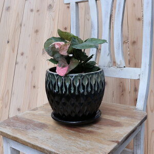 Linfeng a TCY y͗ltz 19cm ꌊ Mt ʂANZg ʐ^̐A͕ʔł