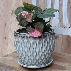 Linfeng a TCY y͗ltz 19cm ꌊ Mt ʂANZg ʐ^̐A͕ʔł