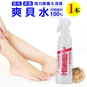 y yVLO 1 z C̏L ̏L ΍ L Xv[ uL 250ml 1{      C C C T_ oX}bg  L  ObY   VR z^e Lk 