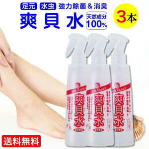 y 5%OFF  z yVLO 1 C̏L ̏L ΍ L Xv[ uL 250ml 3{Zbg       C C C T_ oX}bg  L  ObY 