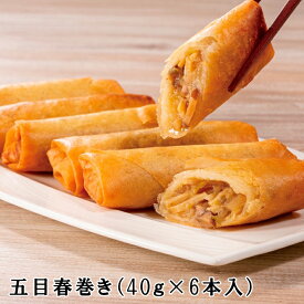 五目春巻 6本セット 中華 ギフト 中華料理 中華食材 中国料理 中華惣菜 中華セット お取り寄せグルメ 飲茶 点心 セット 春巻き 冷凍食品 揚げ物 おかず冷凍 おかずセット お弁当おかず 美味しい お惣菜 おそうざい 一人暮らし セット ギフト対応 物産