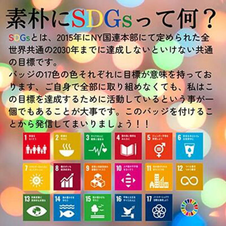 楽天市場】【国連本部公式最新仕様/インボイス制度対応】SDGs バッジ 