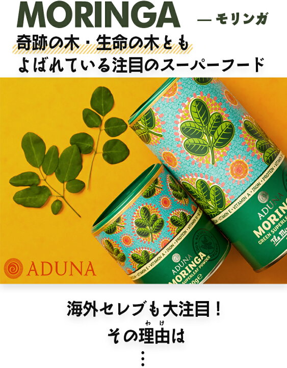 楽天市場】モリンガ パウダー 非加熱 100g×2個（約:60日分）［ 送料 