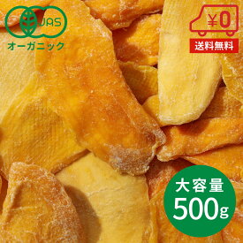 【送料無料】オーガニックドライマンゴー 500g ［ 無添加 砂糖不使用 ブルキナファソ産 有機JAS認証 おやつ 美容 健康食品 ］