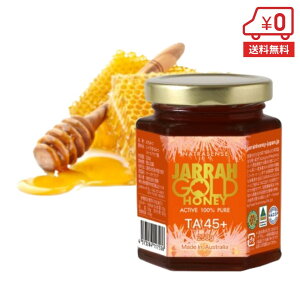 WES[hnj[ 250gm I[XgAY W WI v~AANeBu ݂͂ M GI ݂͂ e  NHi A PA r   n