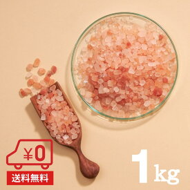 【送料無料】ヒマラヤ岩塩 食用 1kg（ミル用 2-5mm）［ ピンクソルト 小粒 岩塩 ミル ピンク岩塩 調味料 熱中症対策 ピンク岩塩 調味料 バーベキュー BBQ 肉 海鮮 天然塩 無添加 しお ］