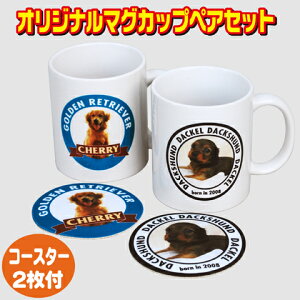 IWi}OJbv yAZbgyT[NzR[X^[t  ʐ^vg j 蕨 v[g }O2+R[X^[2ZbgyyMt_z