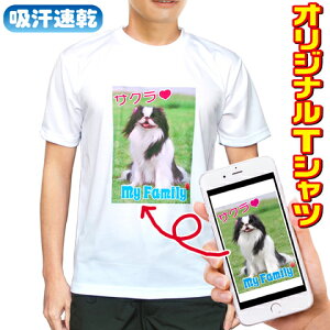 IWiTVc yzCgnzʐ^vg hCTVc  TVc j  ƋLO a `[TVc 1OK jpyMtgΉz