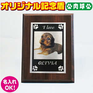 犬用ペットグッズ 写真立ての人気商品 通販 価格比較 価格 Com