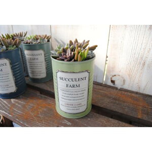 A񂹐AyCg(L)yLOzXIWi