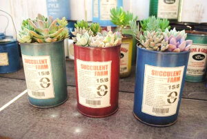 A񂹐AɍœKIyCg(L)yLR-CCzʂ̂ݓXIWi