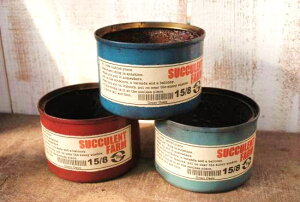 A񂹐AɍœKIyCg(MS)yLR-CCzʂ̂ݓXIWi