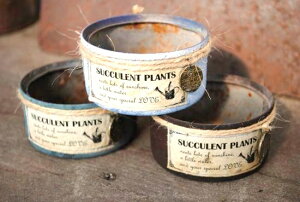 A񂹐AɍœKIHQS(S)yLK-MCzʂ̂ݓXIWi